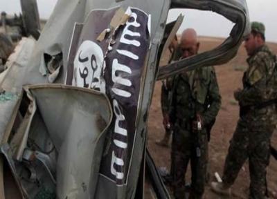 کشف گروه تروریستی وابسته به داعش در الجزایر