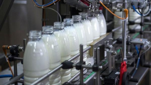 نرخ 6400 تومانی شیرخام موجب افزایش قیمت لبنیات می گردد