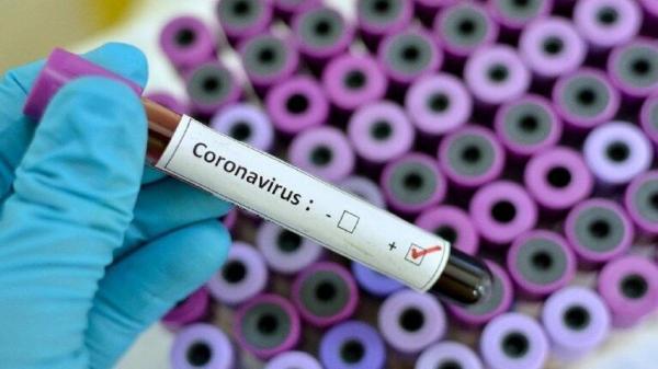 شناسایی 174 مورد نو مبتلا به کرونا ویروس در ایلام ، ثبت 3 مورد فوتی