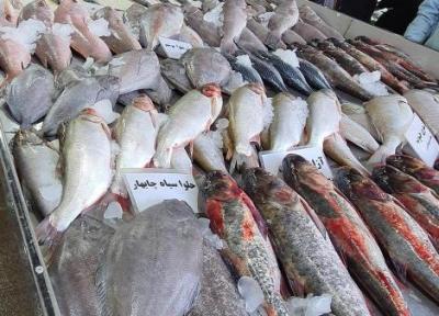 انفجار قیمت ماهی در بازار