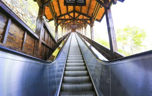 نصب پله برقی در کوهستان چین برای گردشگرهای ناتوان یا تنبل، عکس