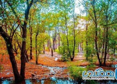 معرفی تعدادی از زیباترین پارک های جنگلی ایران